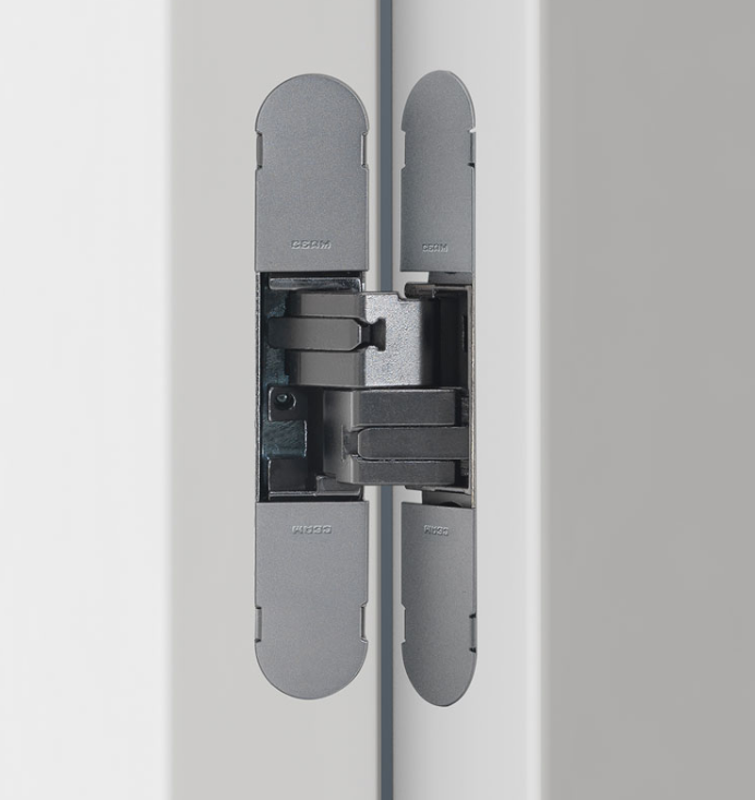 Frameless Door with Hidden Hinges